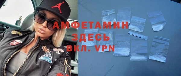 сатива Лабытнанги