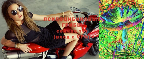 спиды Лагань