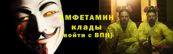 сатива Лабытнанги