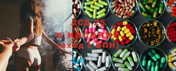 сатива Лабытнанги