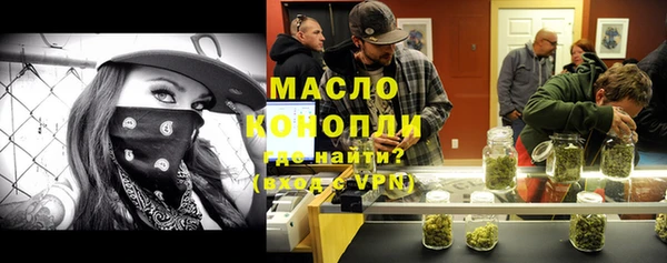 сатива Лабытнанги